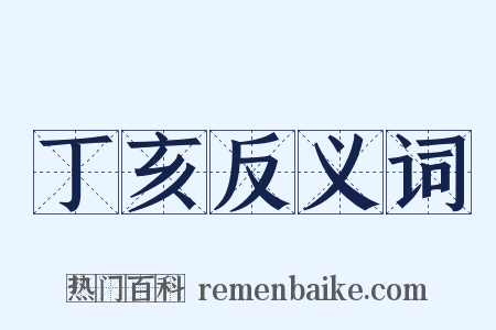丁亥反义词是什么意思的图片